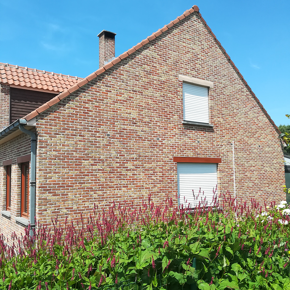 huisgevel mosvrij 1613468278