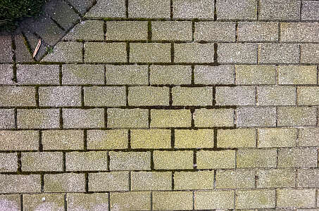 mos terras reinigen 1647440849